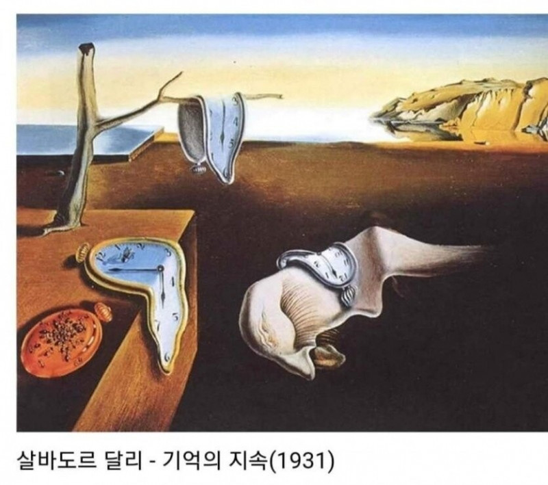 실시간달팽이