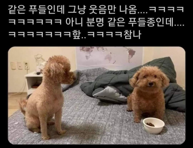 실시간게임