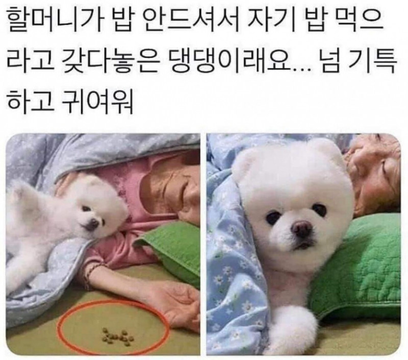 성인게임