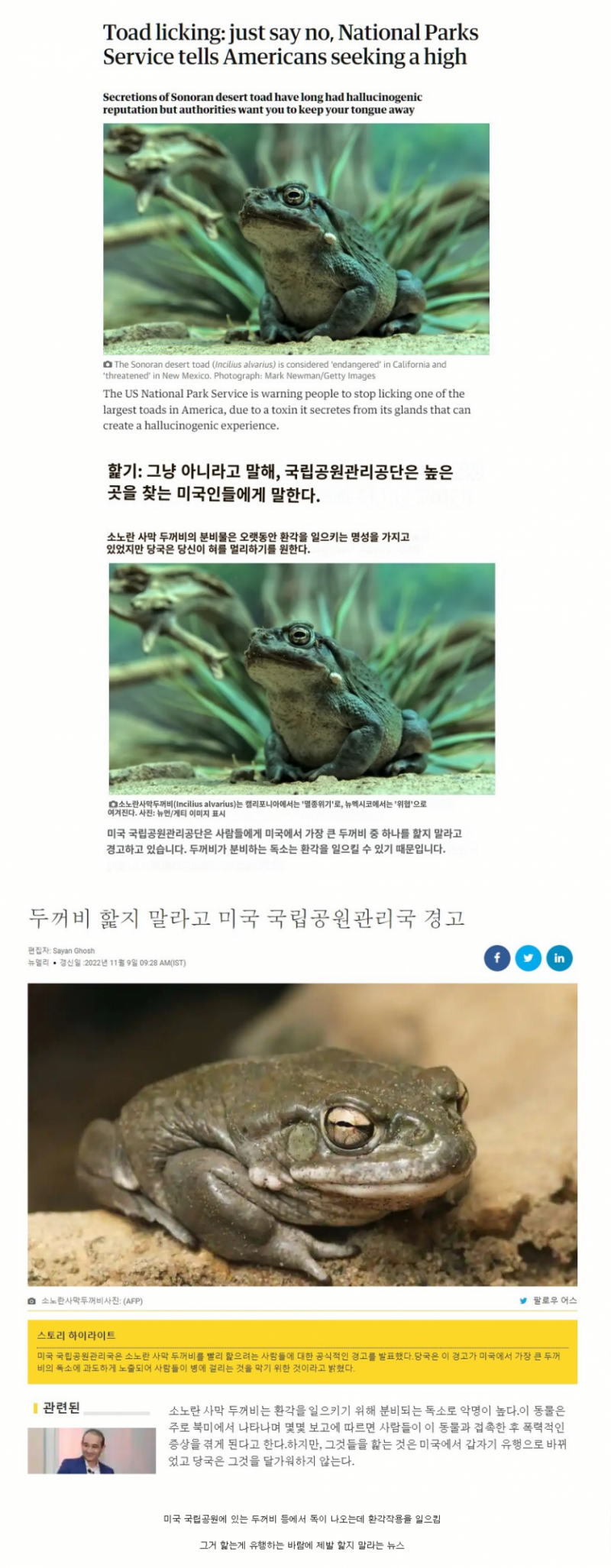 사다리게임분석