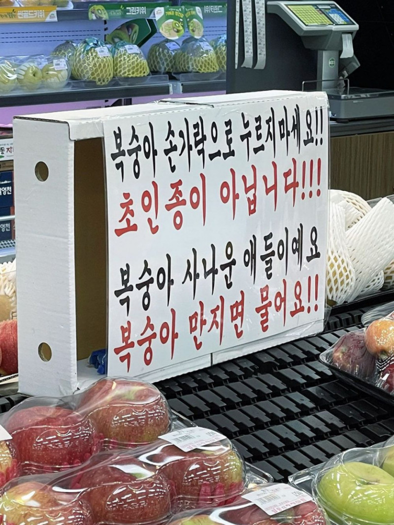 파워볼게임픽분석