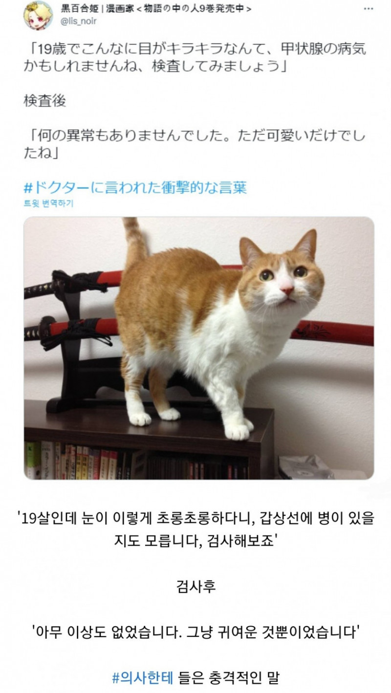 나눔로또 파워볼분석기