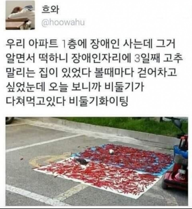 사다리게임