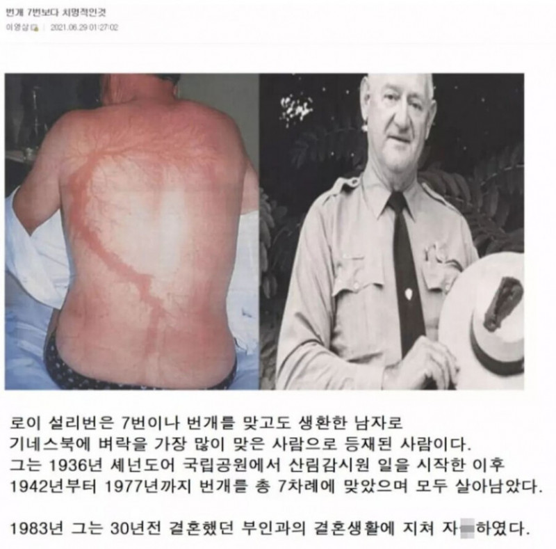 사다리 분석과 실시간패턴통계