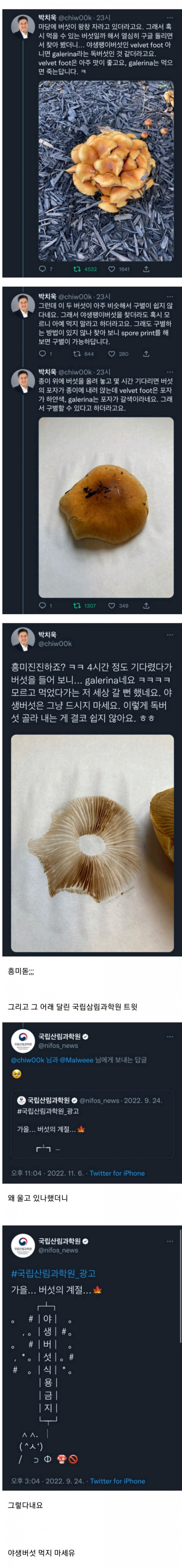 파워볼게임분석