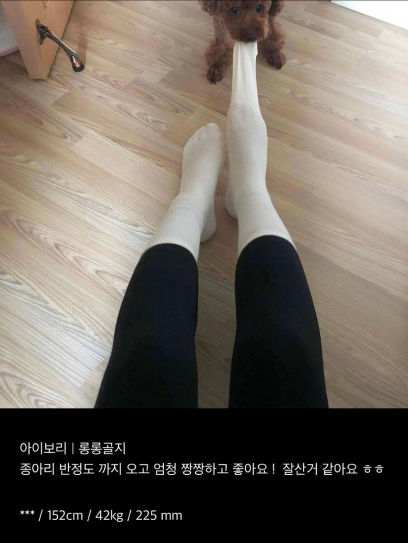 실시간사다리