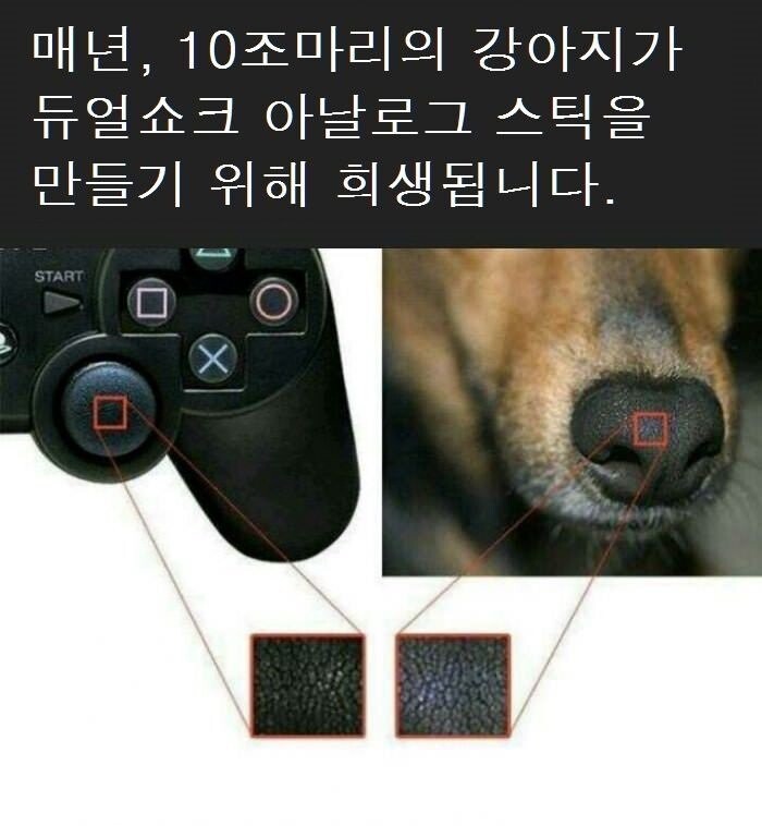 달팽이필승