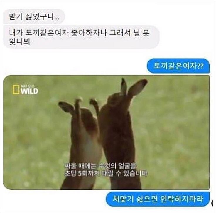 달팽이게임픽분석