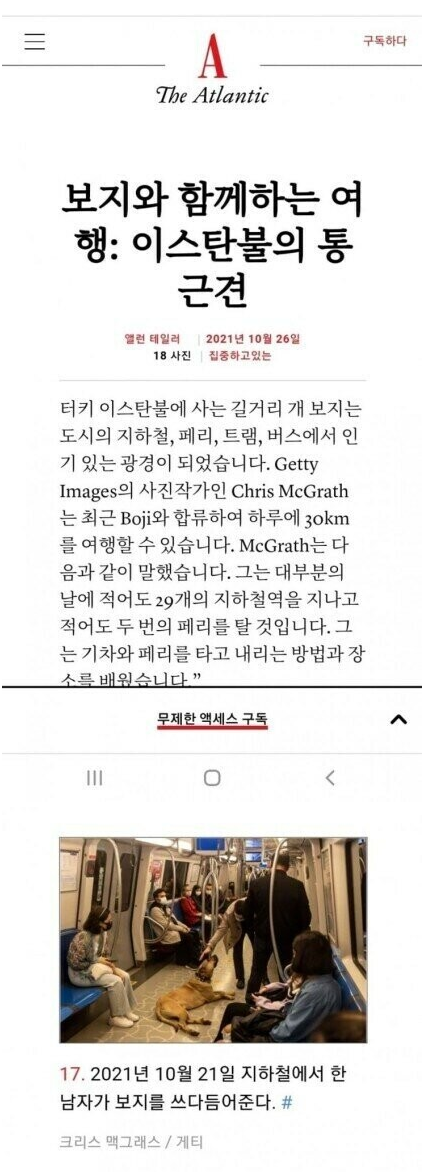 파워볼게임분석