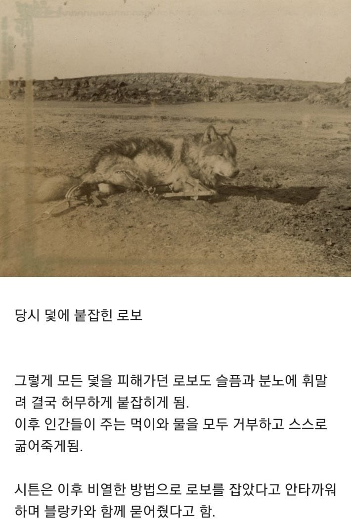 나눔로또