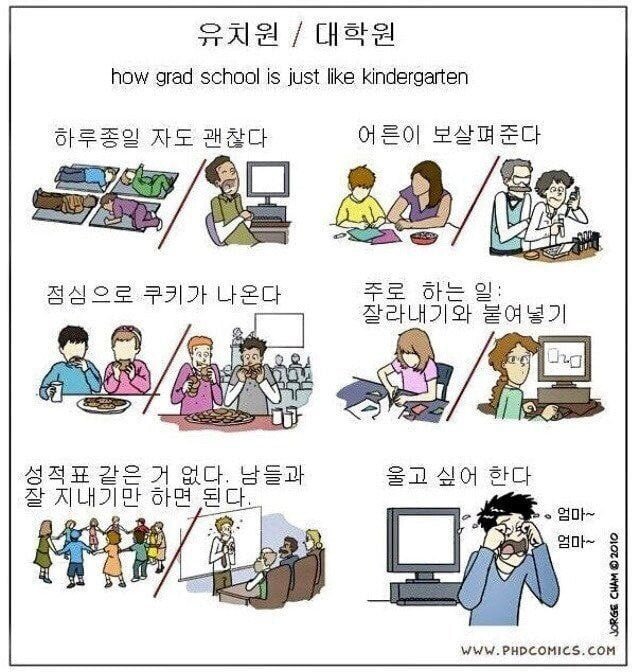 실시간다리다리