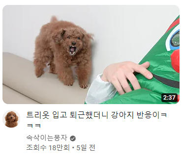 파워볼게임픽분석