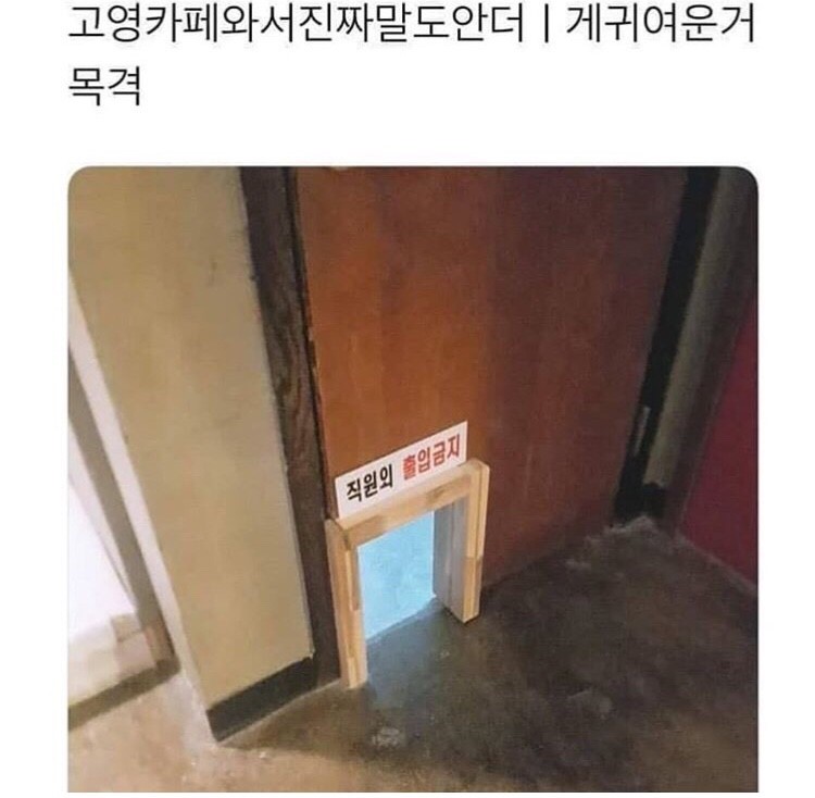 나눔로또