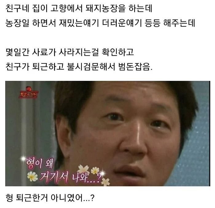 달팽이 분석과 실시간패턴통계