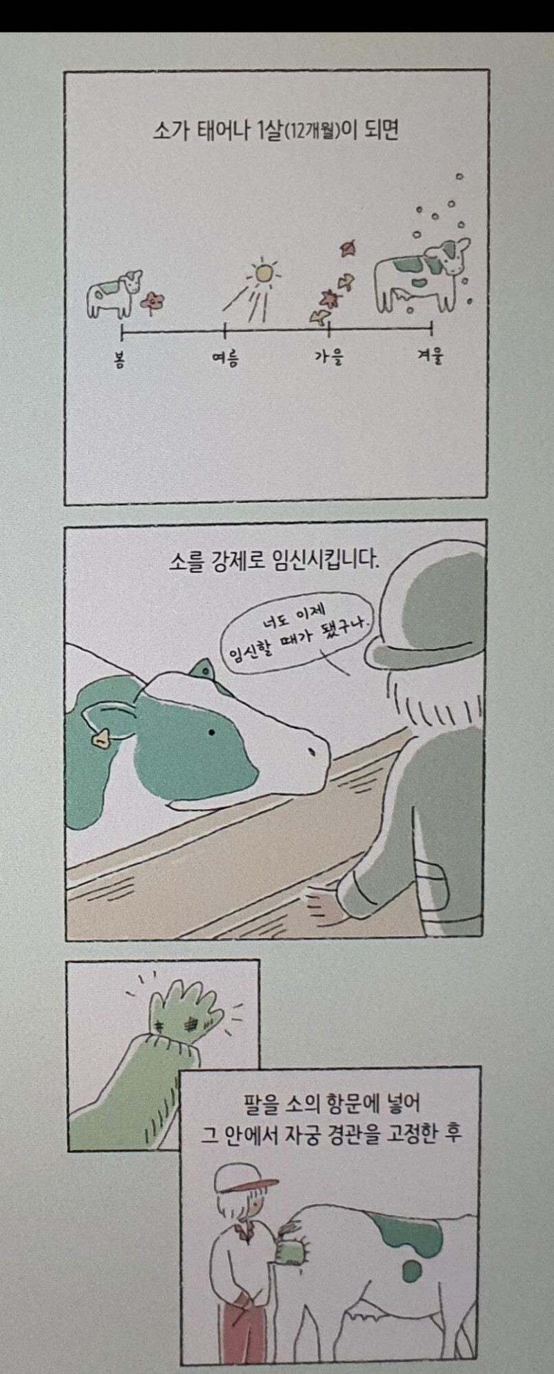 실시간달팽이