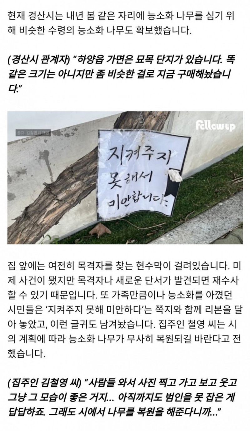 파워볼게임픽