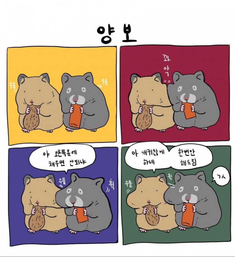 실시간파워볼