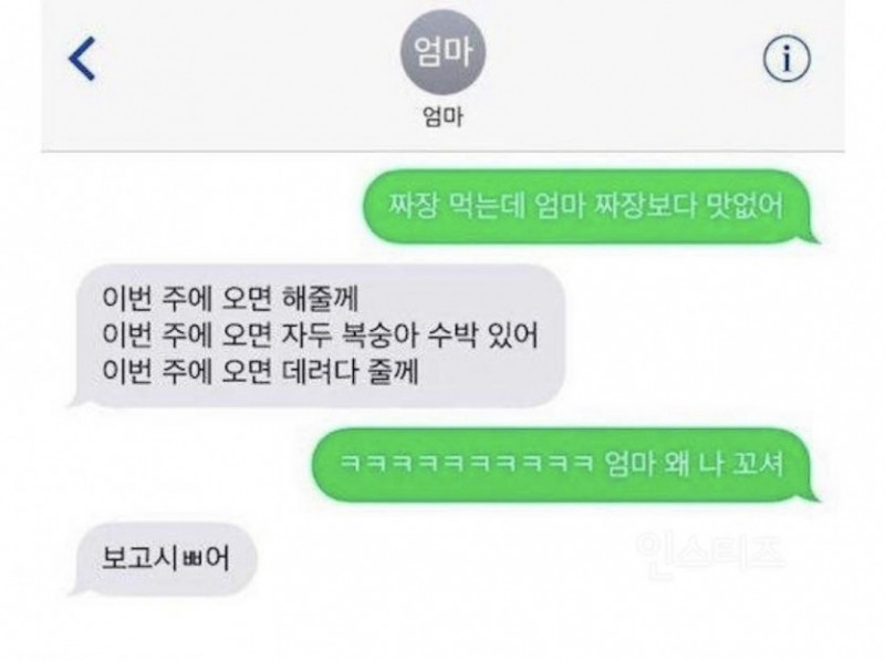 파워볼게임분석기