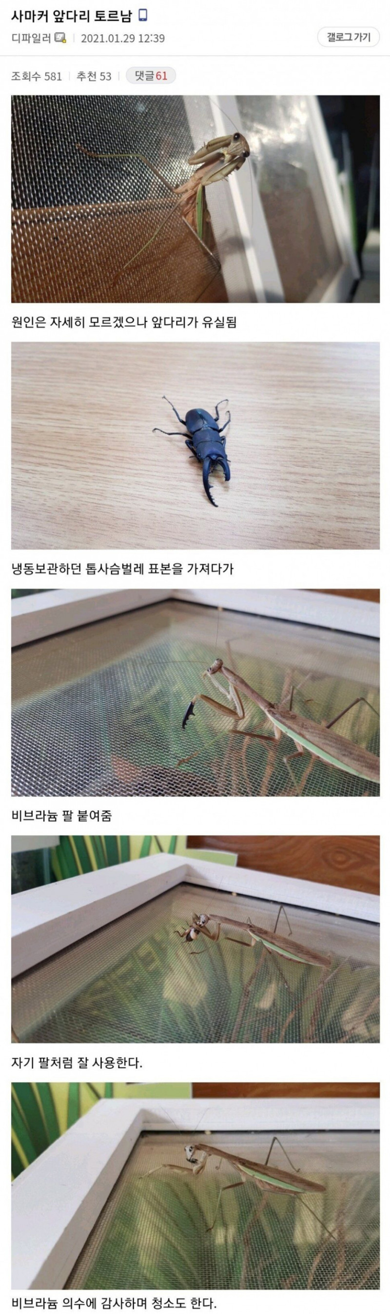 다리다리게임통계