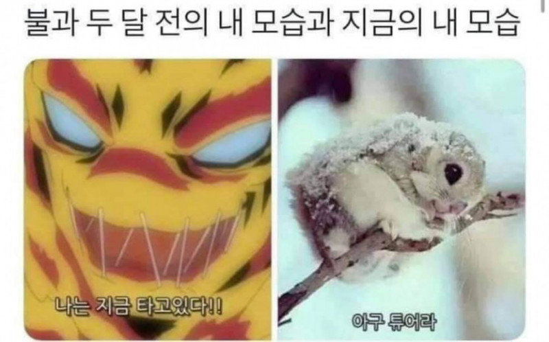 파워볼게임