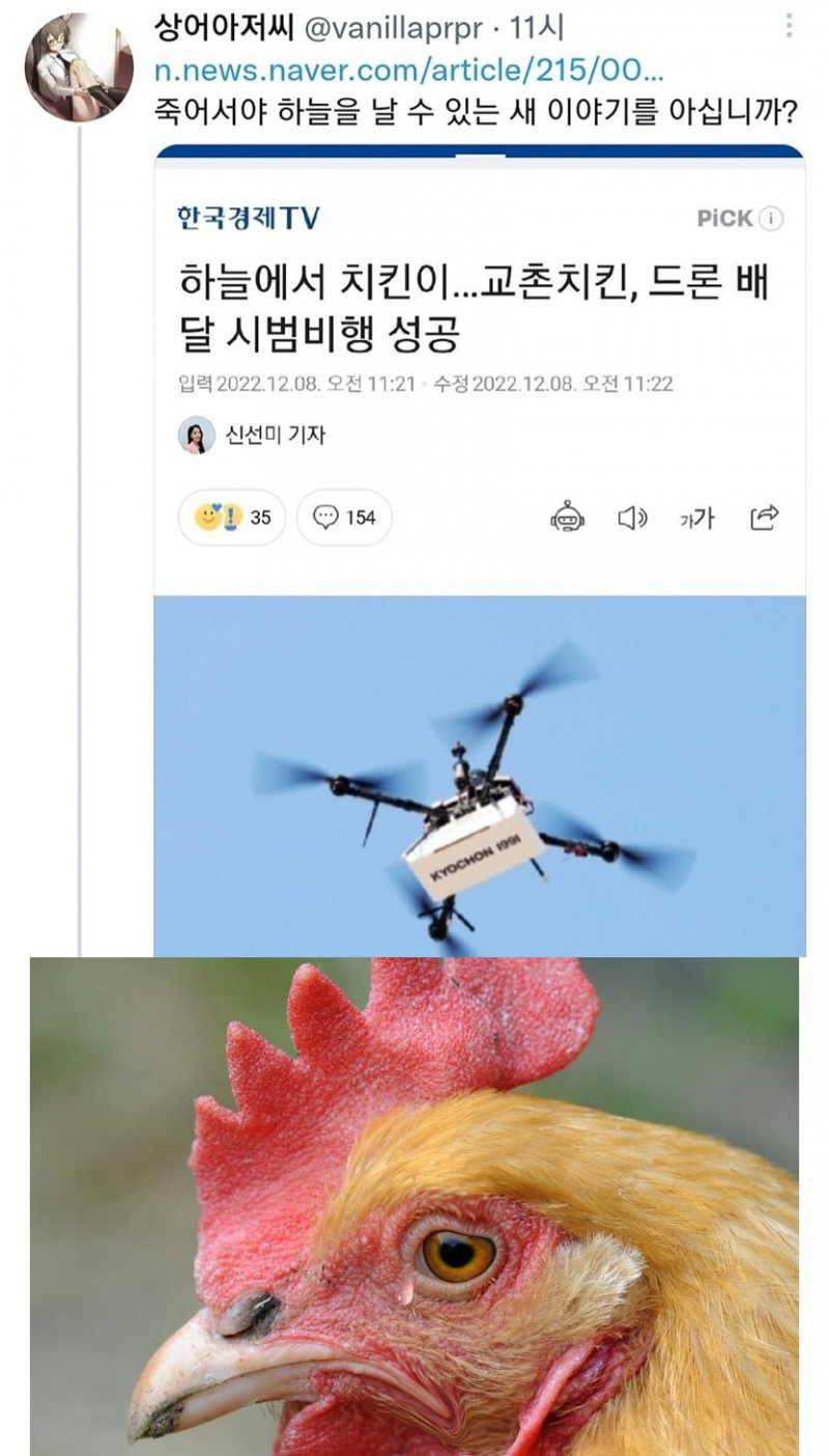 달팽이필승