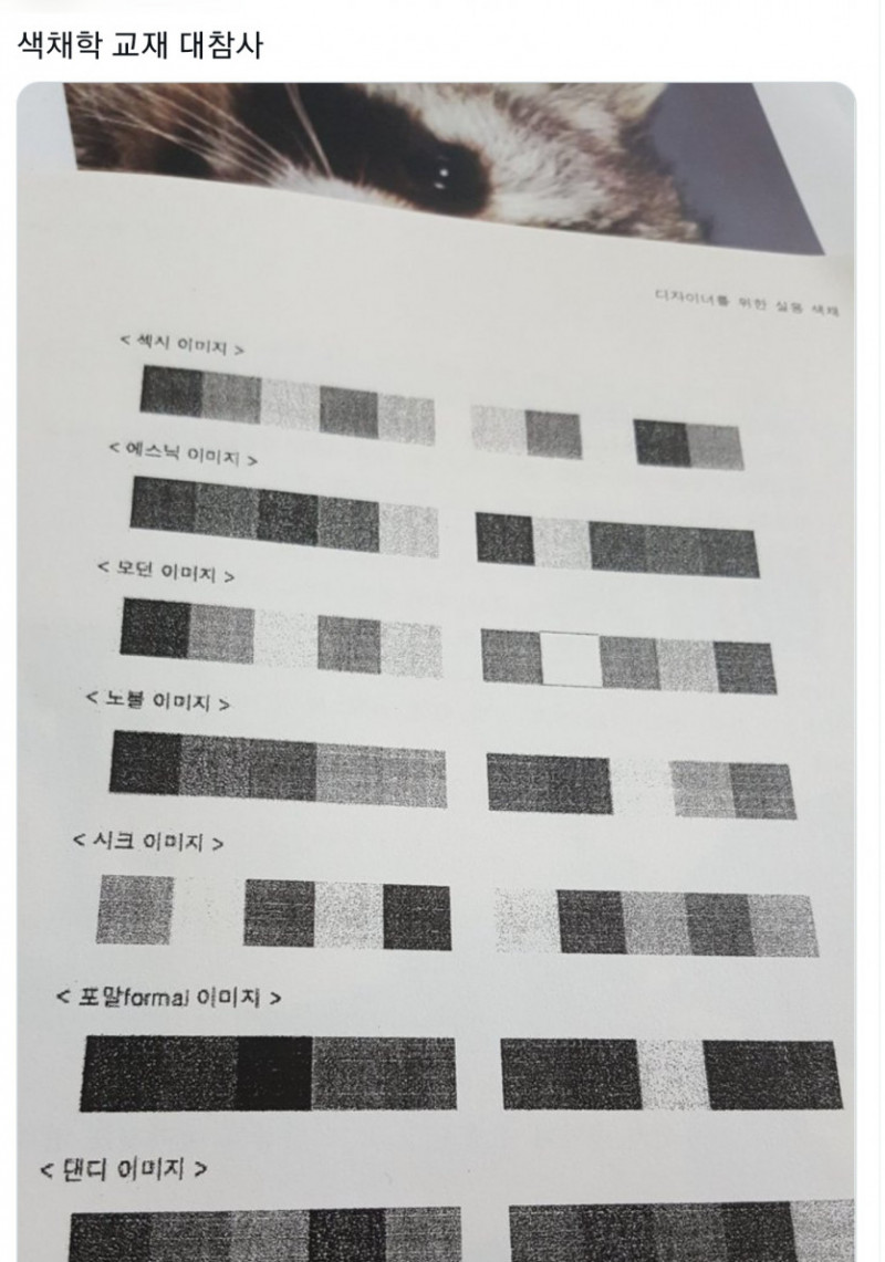 달팽이게임분석