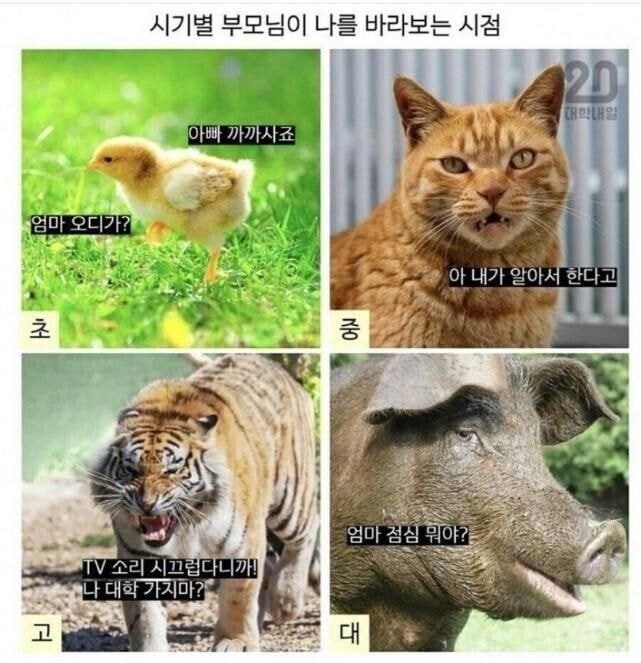 파워볼게임픽게임