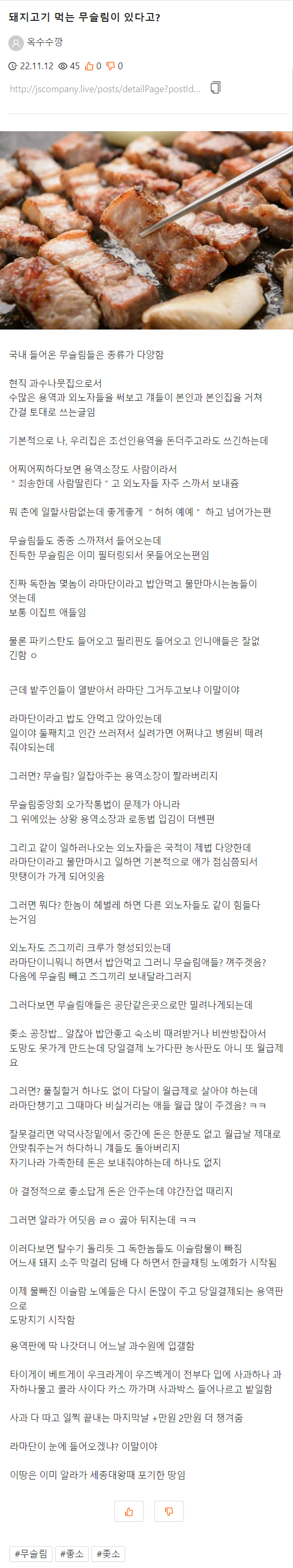 달팽이게임픽분석