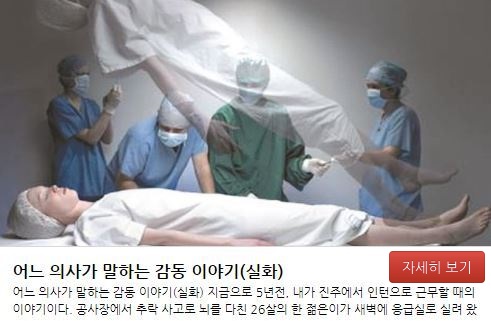 파워볼 분석과 실시간패턴통계