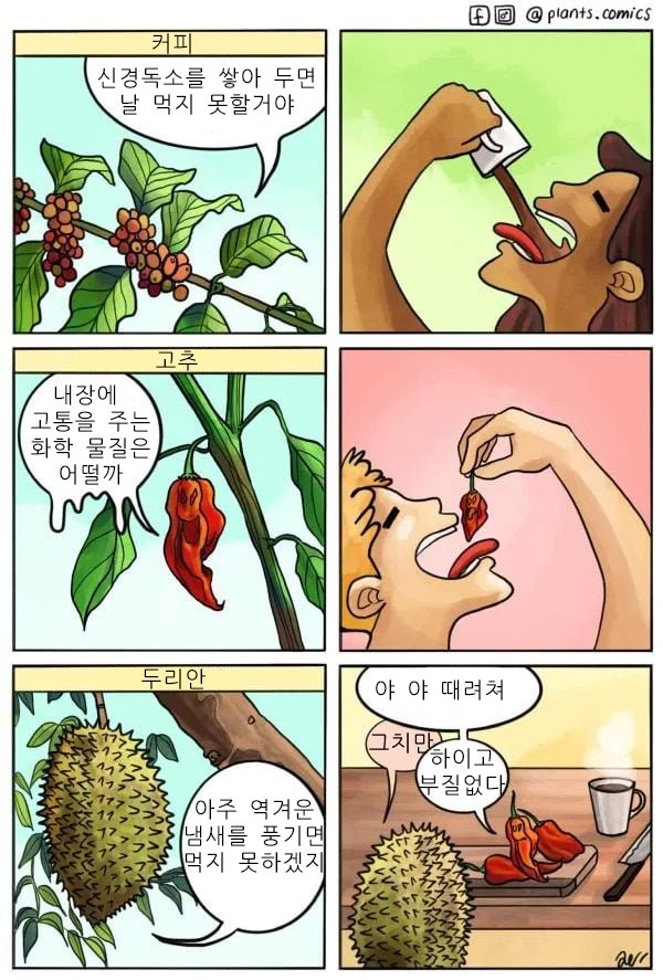 달팽이게임픽분석