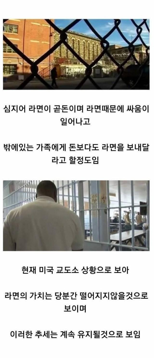 실시간달팽이