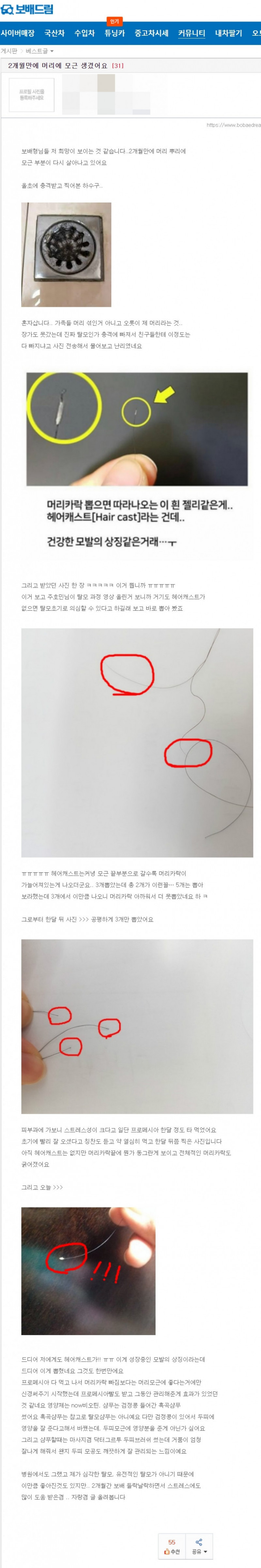 실시간파워볼