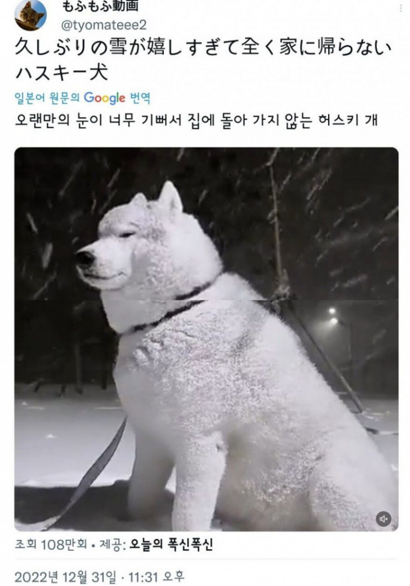 달팽이게임