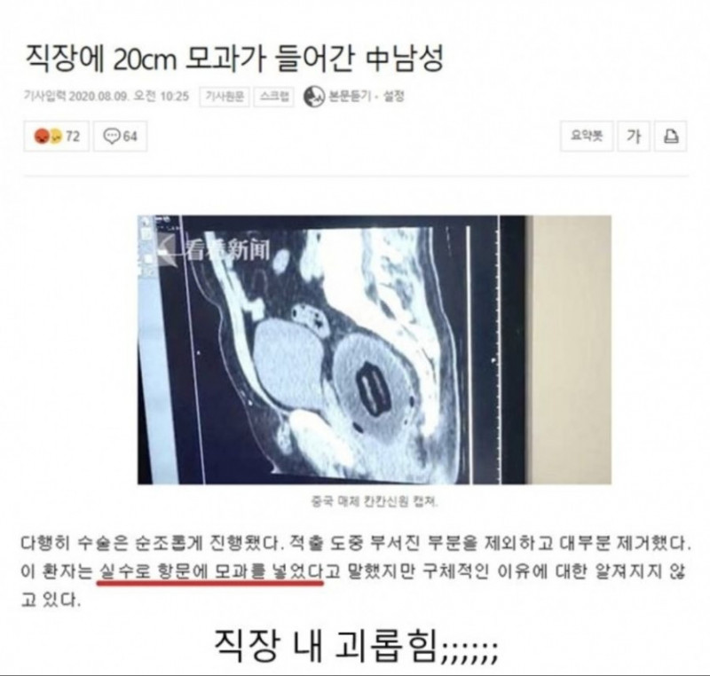 사다리 분석과 실시간패턴통계