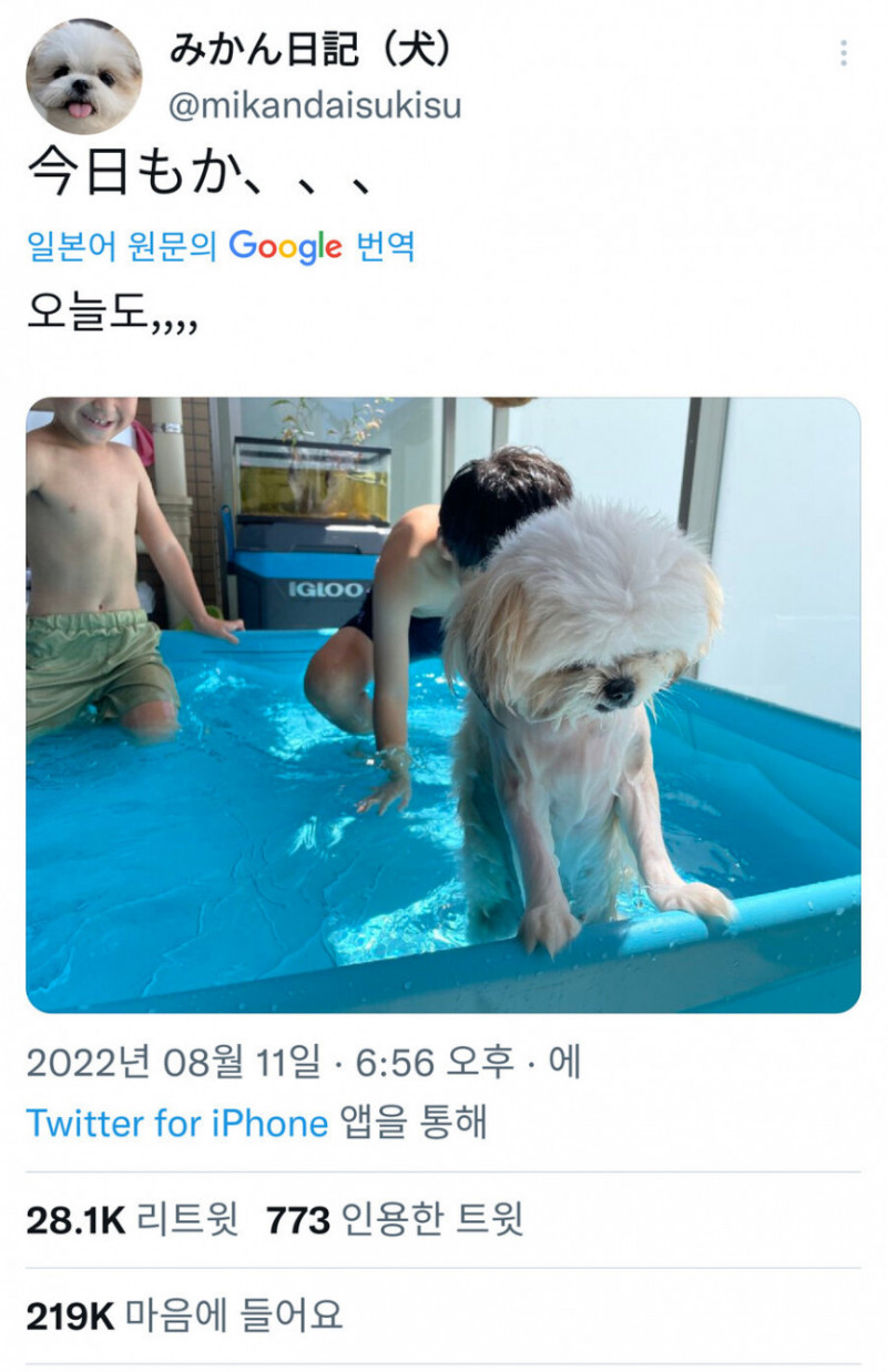 파워볼게임픽