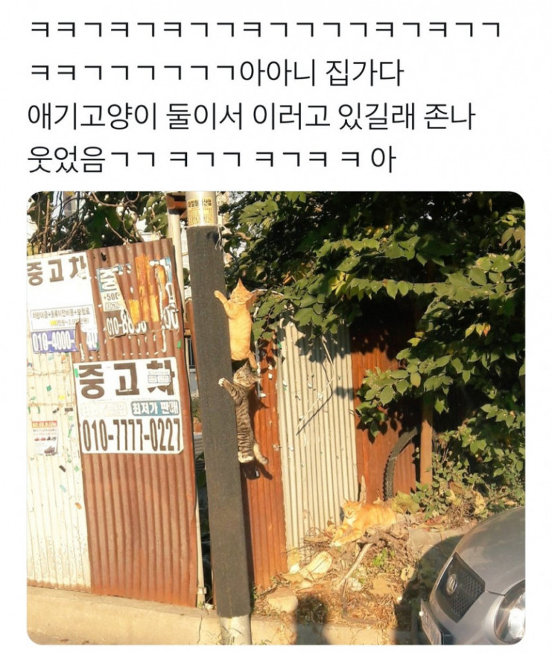 달팽이 분석과 실시간패턴통계