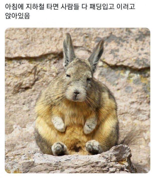 달팽이게임통계