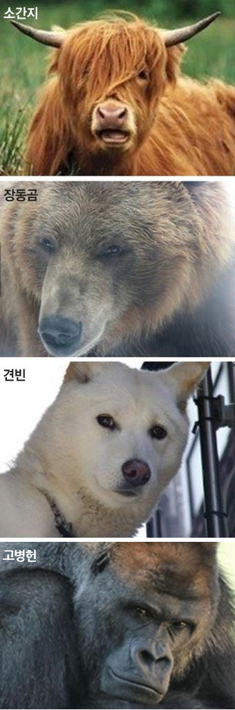 달팽이게임픽게임