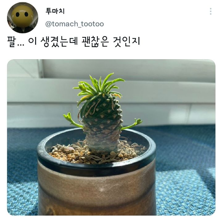 사다리 분석과 실시간패턴통계