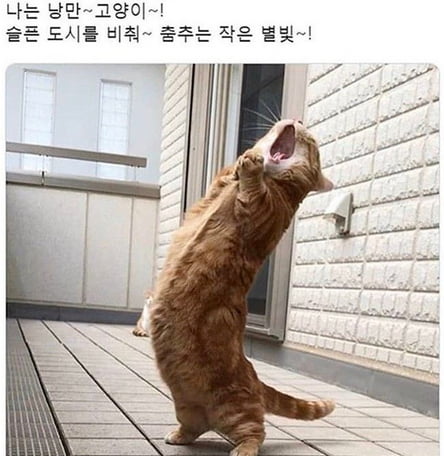 달팽이게임