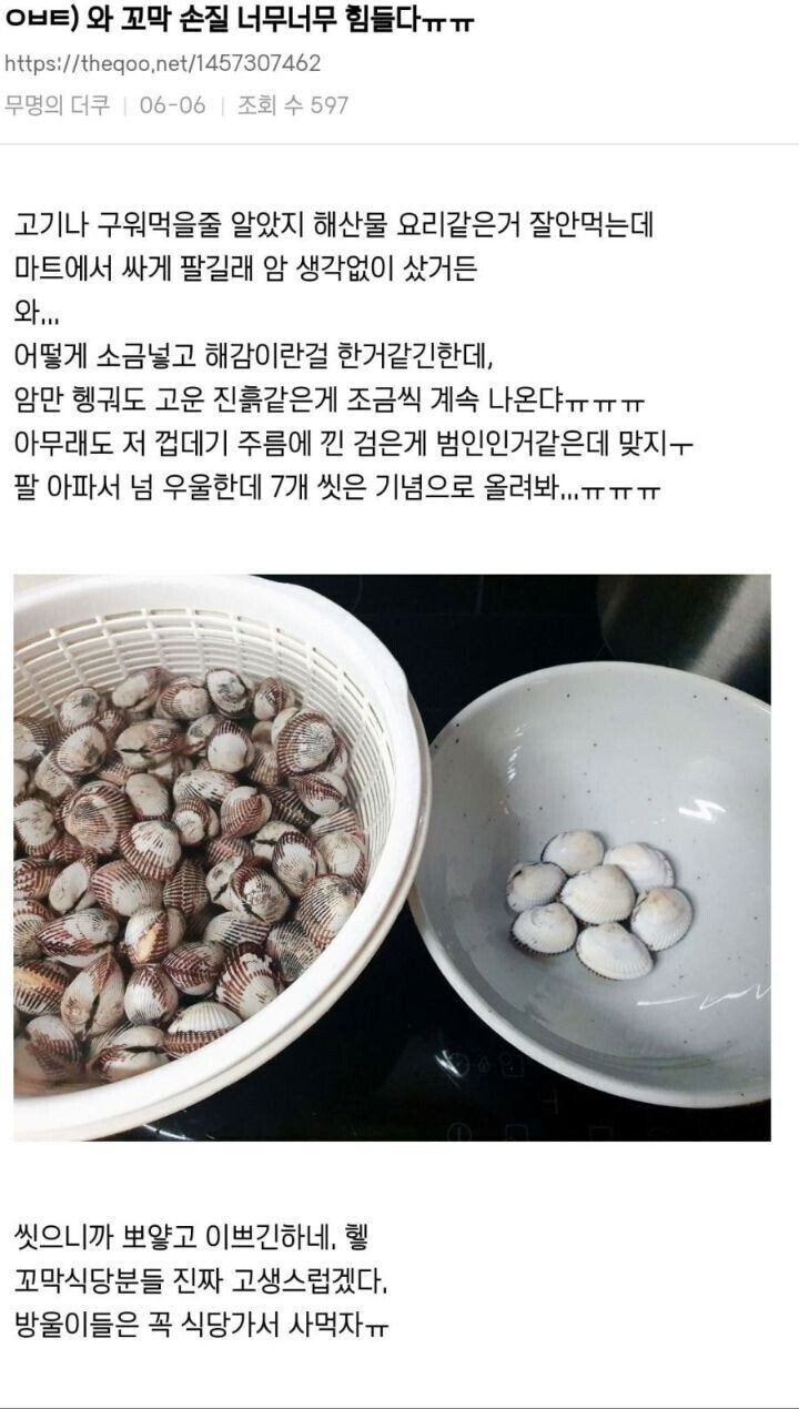 달팽이게임픽분석