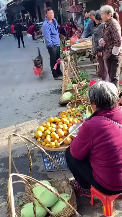 달팽이게임픽분석