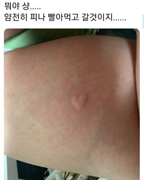 달팽이게임통계