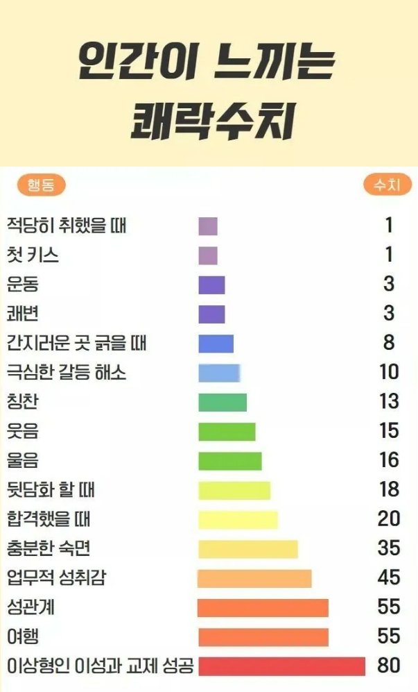 사다리 분석과 실시간패턴통계