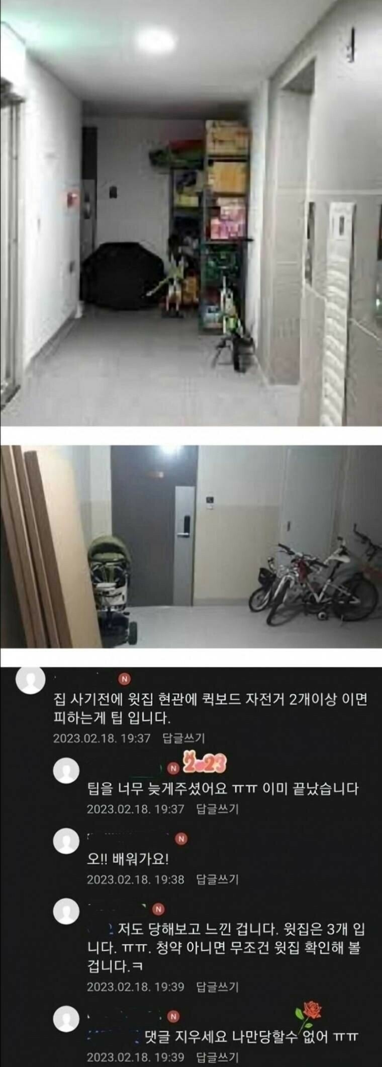 파워볼게임분석기