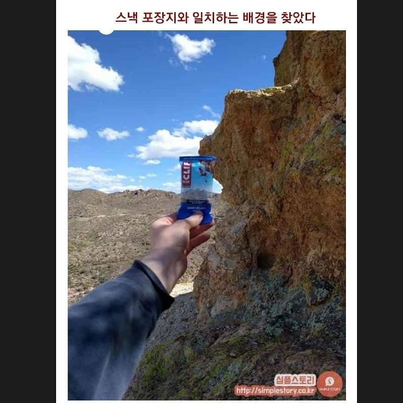 사다리게임픽게임