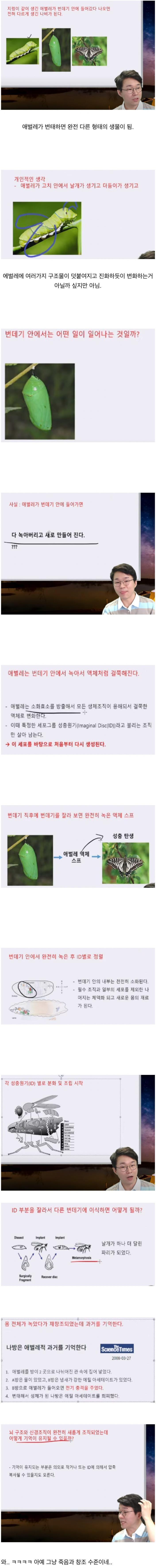 달팽이게임픽