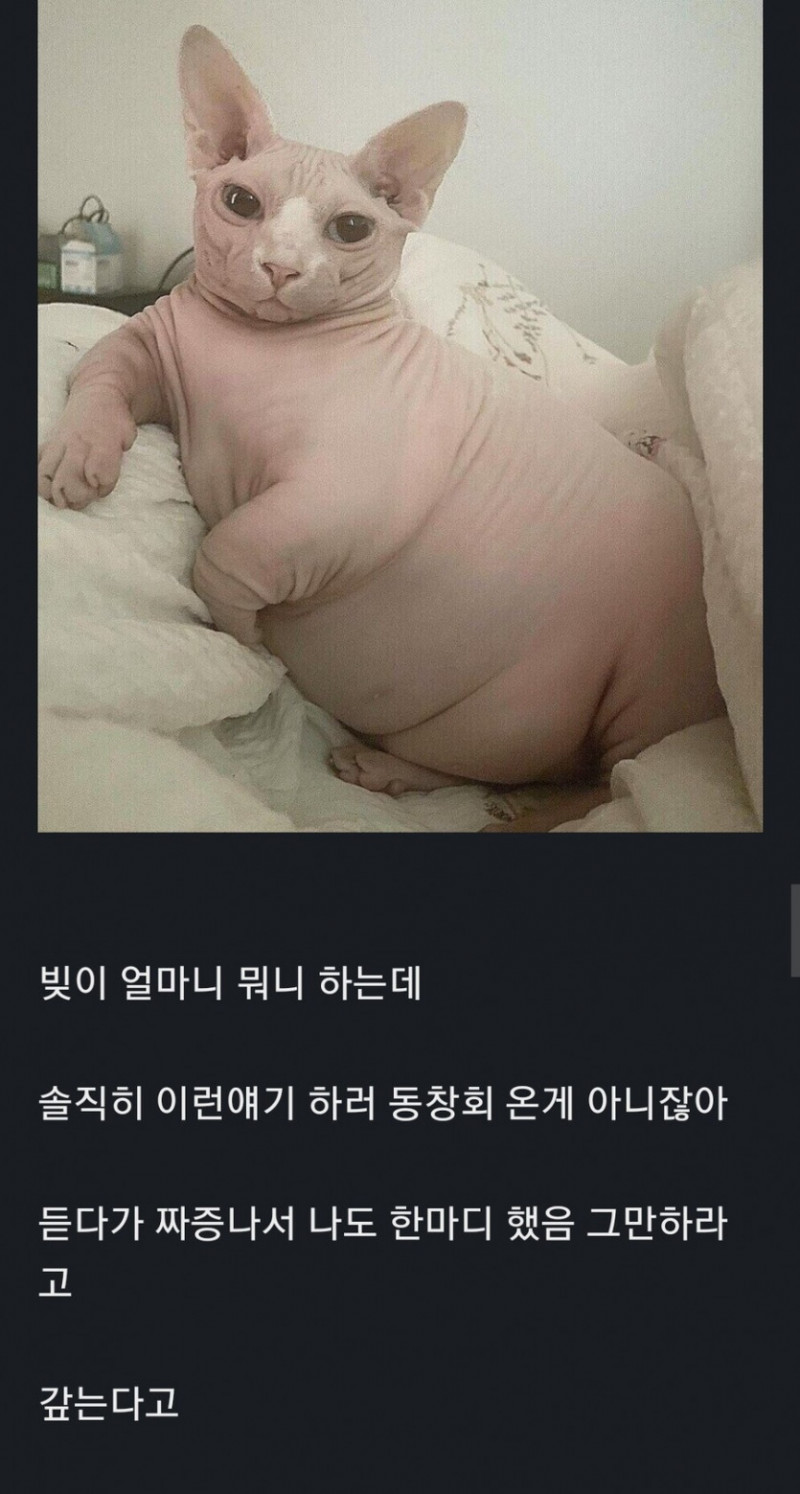 사다리필승