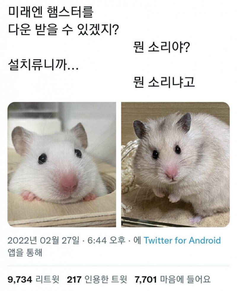 달팽이게임픽분석