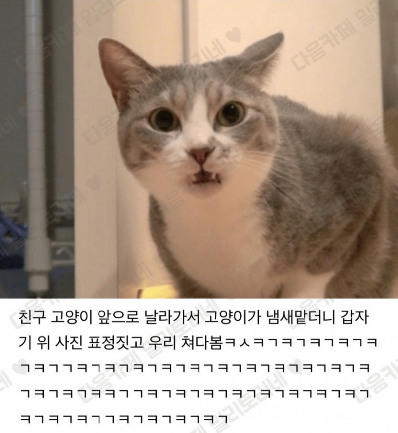 파워볼게임분석기